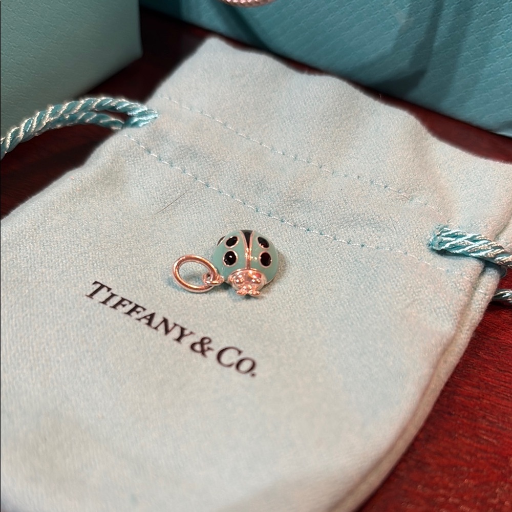 Tiffany & Co. Silver and Tiffany Blue Ladybug Charm